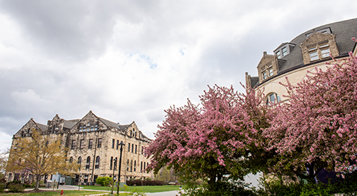 hale in spring